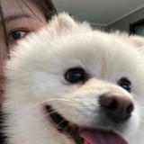 小刘不想被找到