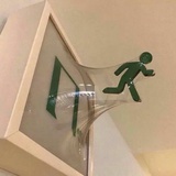 张阿狸