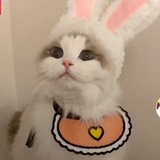 🐷糖醋排骨