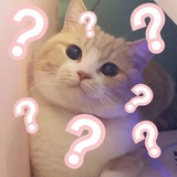 不知道叫什么