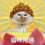 喵喵呜