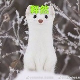枝枝枝