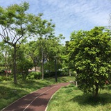 虚无