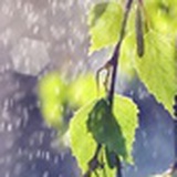 雨雪霏霏