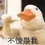 大理寺知世