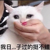 豆友144460429