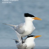 束心明性