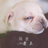 志明与春娇