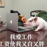 帅的人