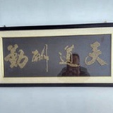 金健老师