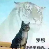 虎精