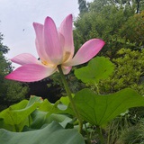 小卢同学