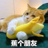 债主