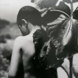 克拉拉
