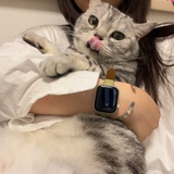 大王
