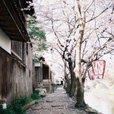 俞青