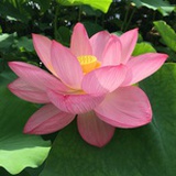 不能告诉你