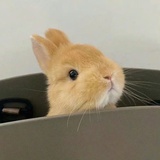 哦啦啦啦