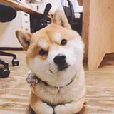 阿颖儿 