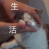 万能小霹雳