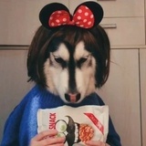李李