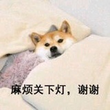 暴脾气的好少年
