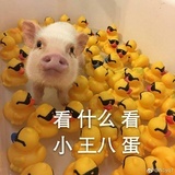 用户86524256