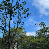 懒惰