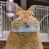 执念一缕游魂