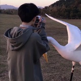 柒月七