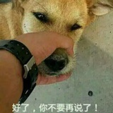 crash