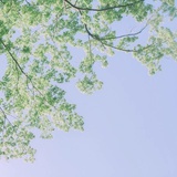 西月