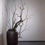 蓝念尘