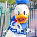 雨林
