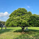 真是个好东西