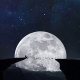 星桐