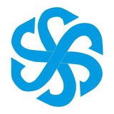 铃木Suzuki提琴