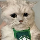 有、东西。