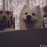 晚上总想喝点酒