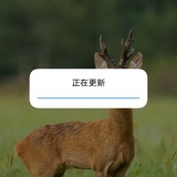艾木