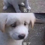 눈_눈