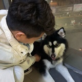 亲爱的佩哥哥