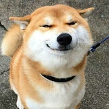 仇煜