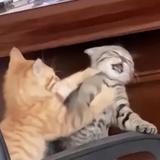恭喜发财