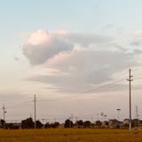 顾 野