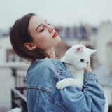 Dream