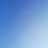 木木