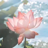 巴山夜雨涨秋池