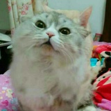 穆帅…