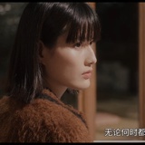 伯格曼的猫
